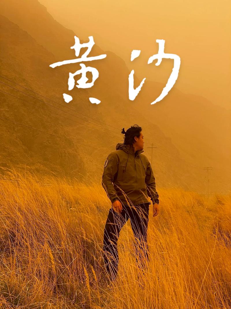 黄沙石子：自然界的守护者